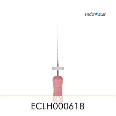 ECLH000618
