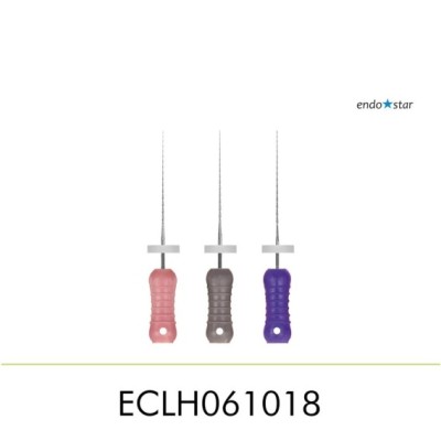 ECLH061018