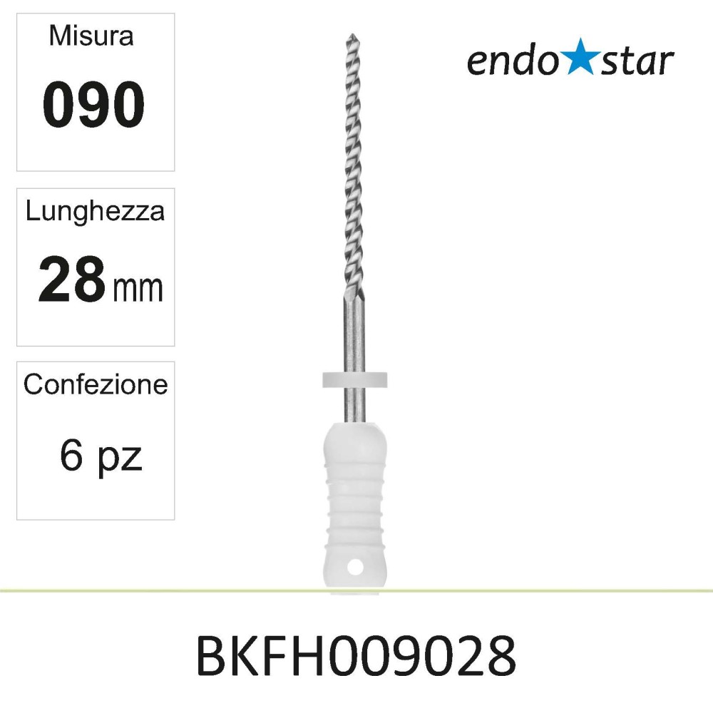 BKFH009028