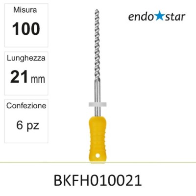 BKFH010021