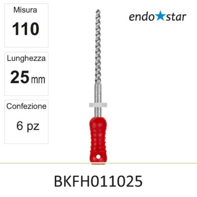 BKFH011025