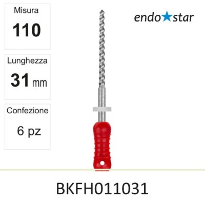 BKFH011031
