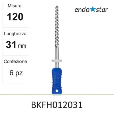 BKFH012031