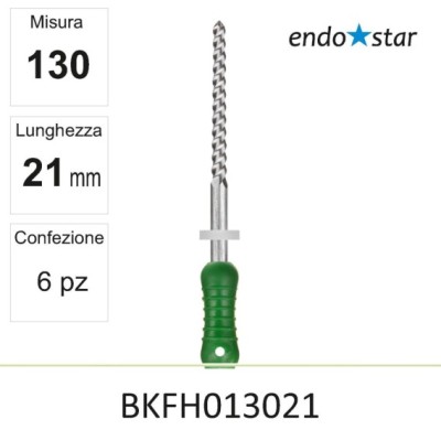 BKFH013021