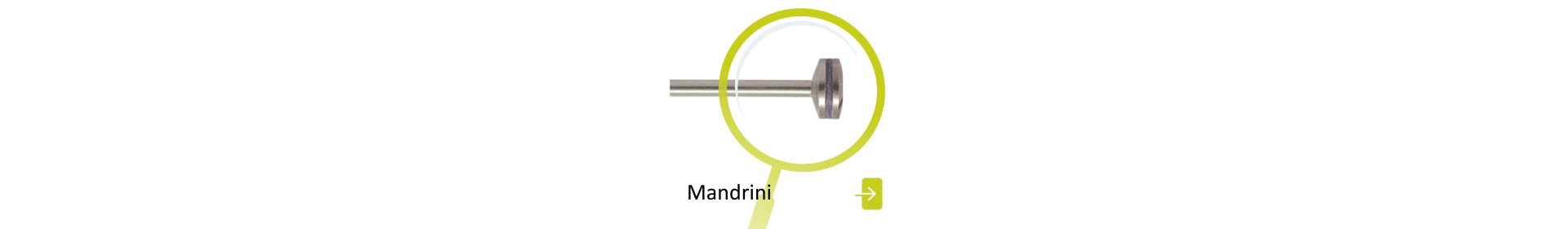 Mandrini