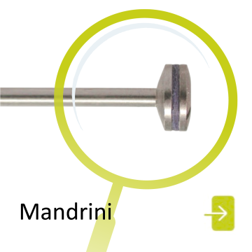 Mandrini