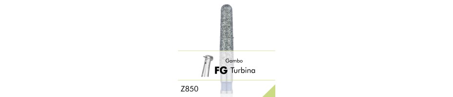 Z850.FG