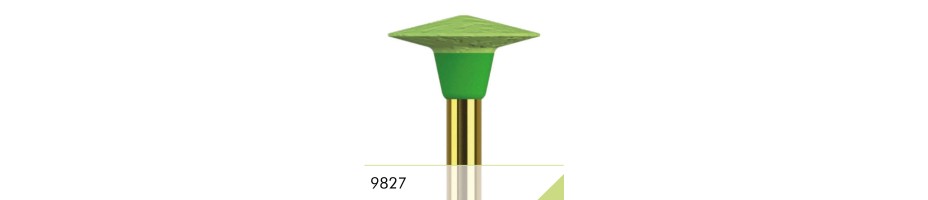 9827