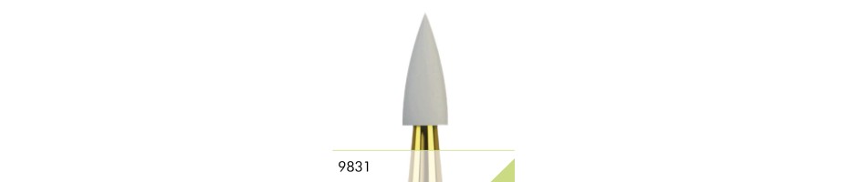 9831