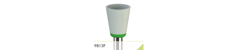 9813F