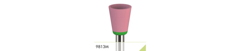9813M