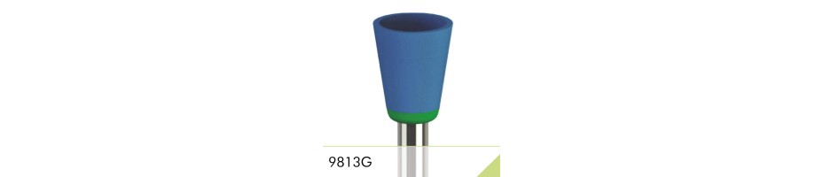 9813G