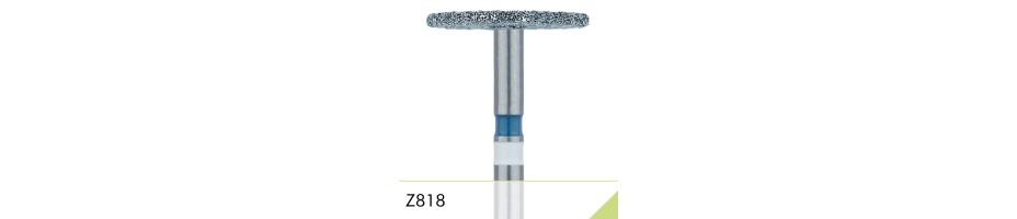 Z818.