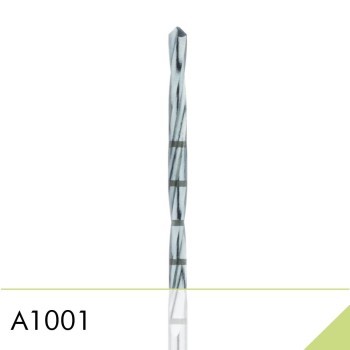 A1001