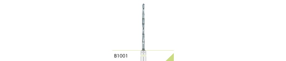 B1001