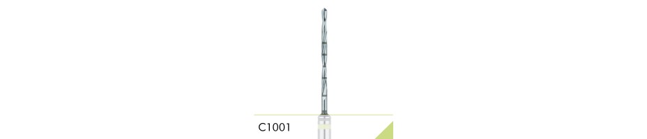 C1001