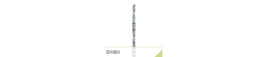 D1001