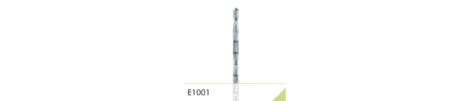 E1001