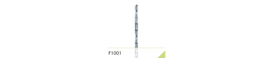 F1001