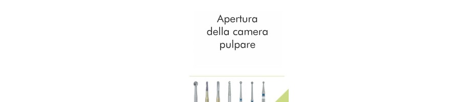 Apertura della camera pulpare