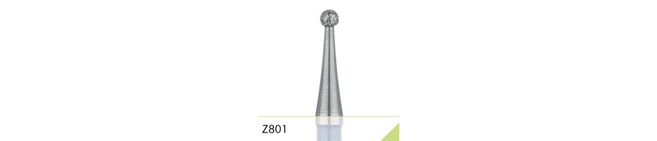 Z801