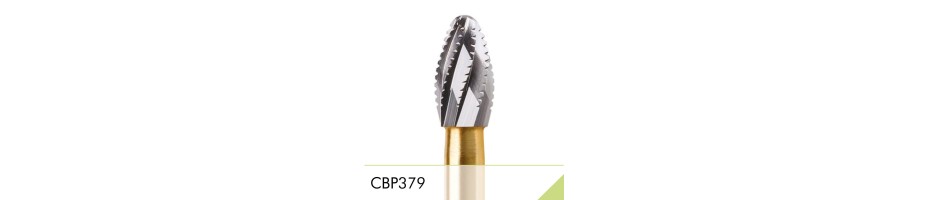 CBP379