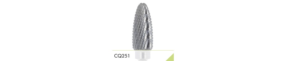 CQ251