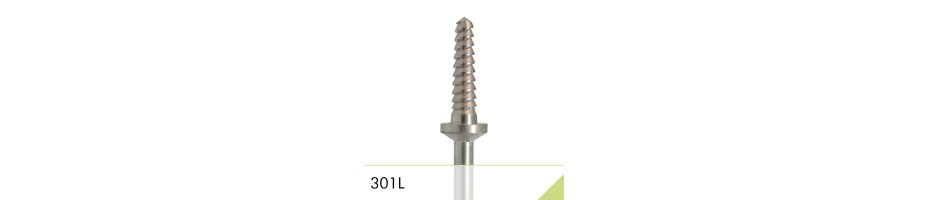 301L