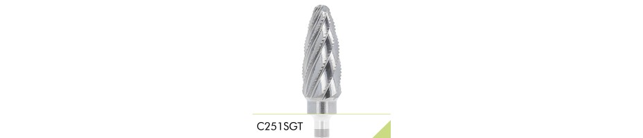 C251SGT
