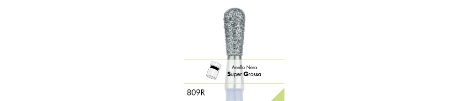 809RSG