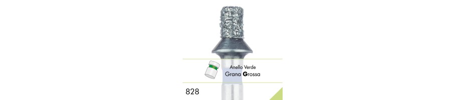 828G