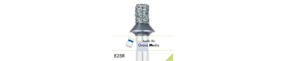 828R