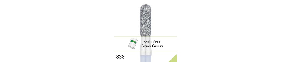 838G