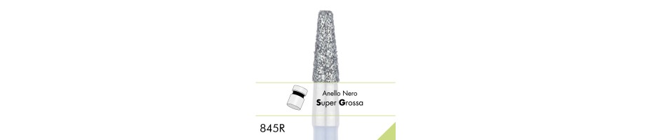 845RSG