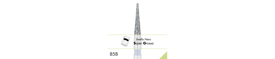 858SG