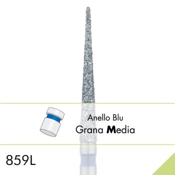 859L