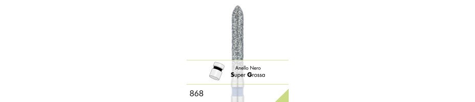 868SG