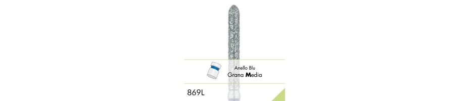 869L