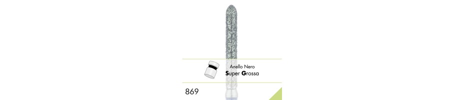 869SG