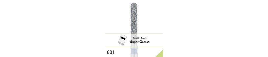 881SG