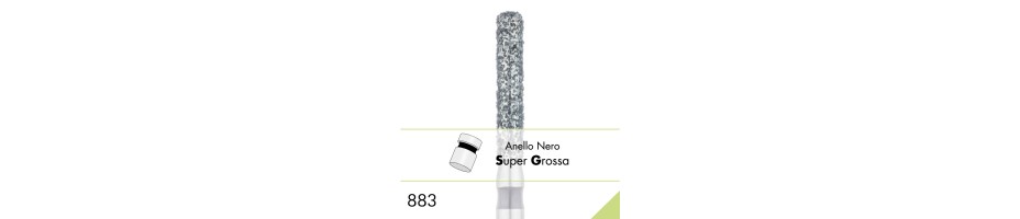 883SG
