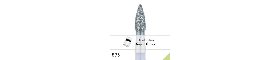 895SG