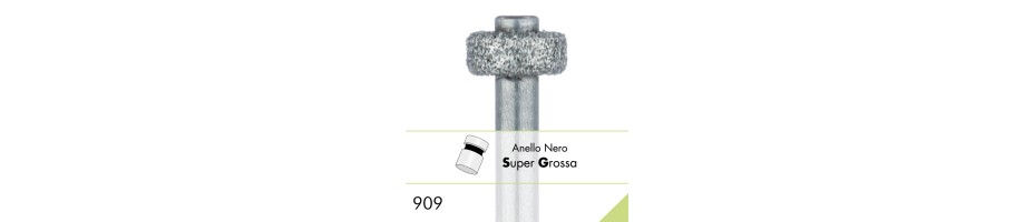 909SG
