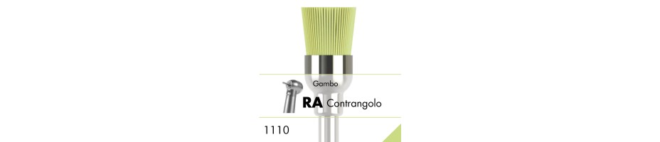 1110.RA