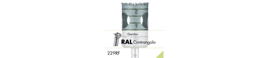 229RF.RAL