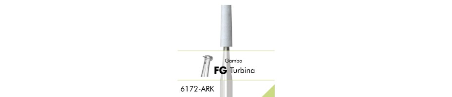 6172.ARK.FG