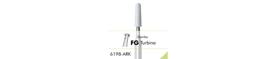 6198.ARK.FG