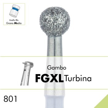 801.FGXL