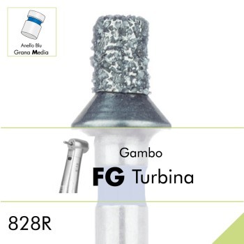 828R.FG