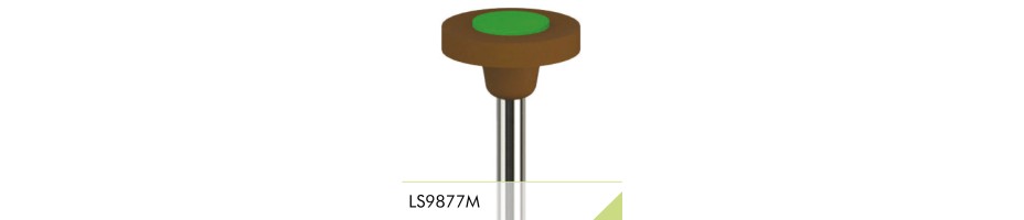 LS9877M